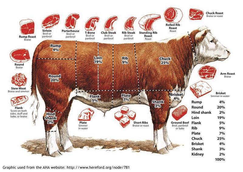 Stallings Polled Herefords